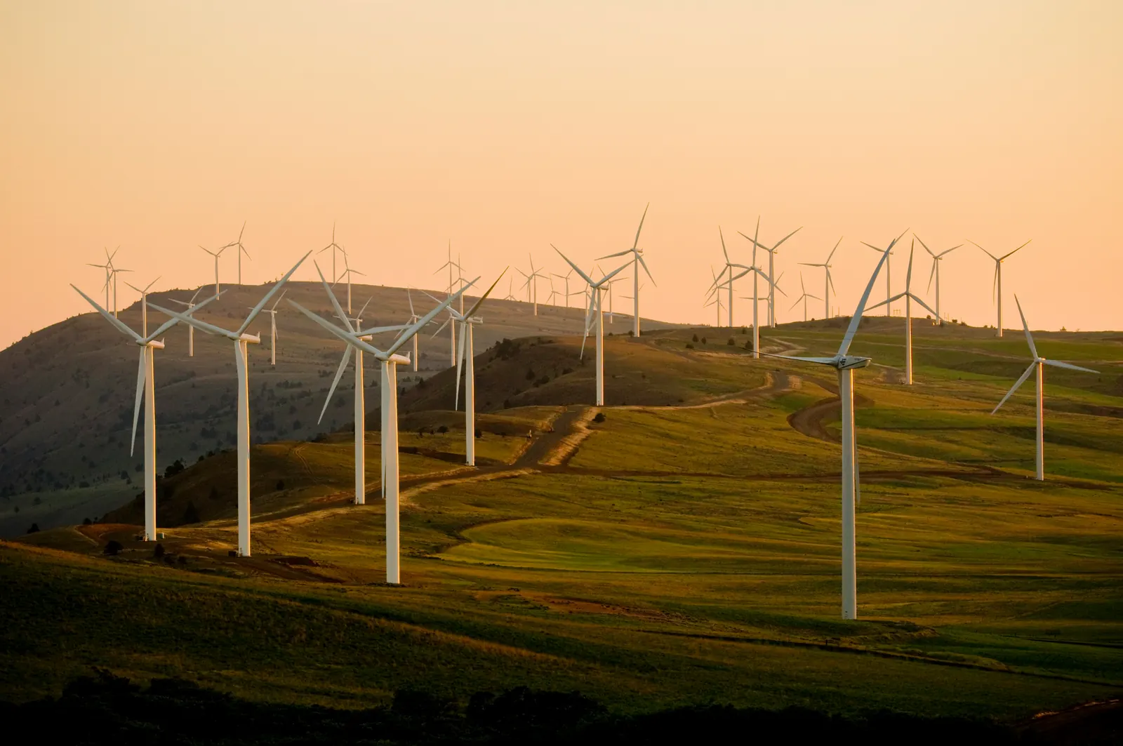 Wind farm on open hillsides at golden hour